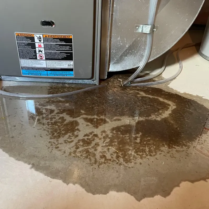 Appliance Leak Cleanup in Hamilton County, TN